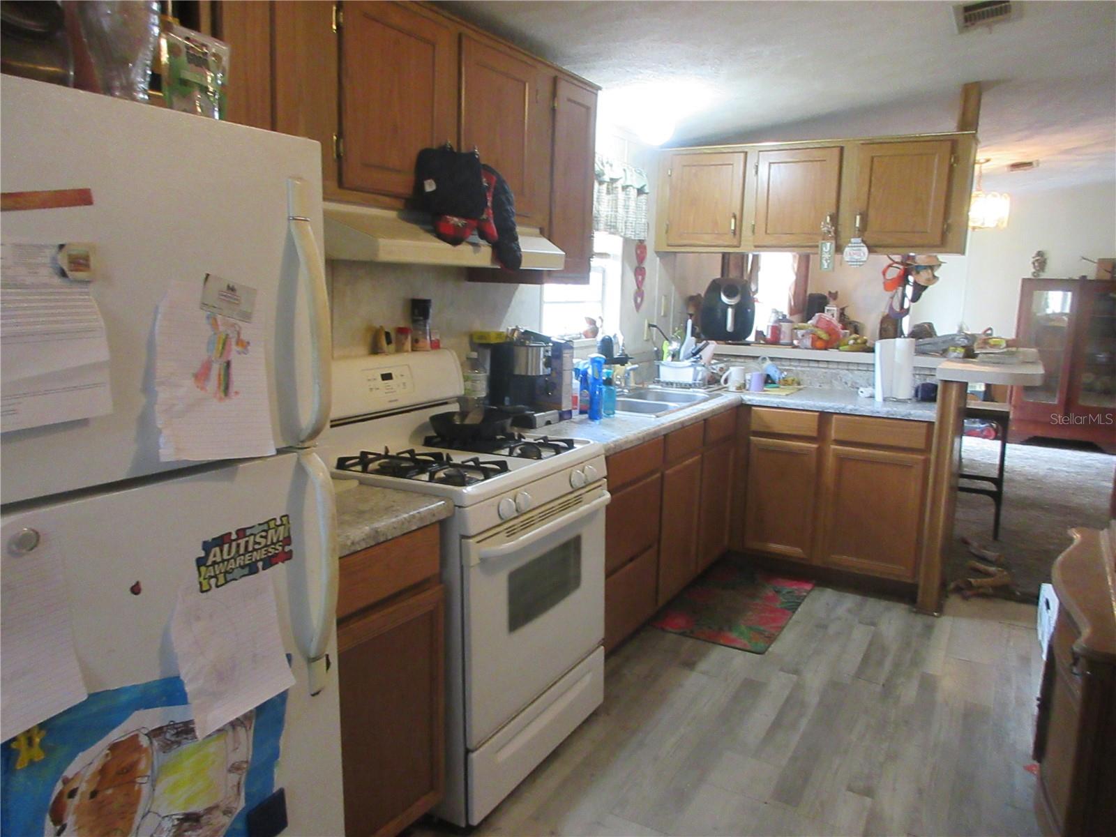 5790 SE 183RD TER, OCKLAWAHA, FL, 32179