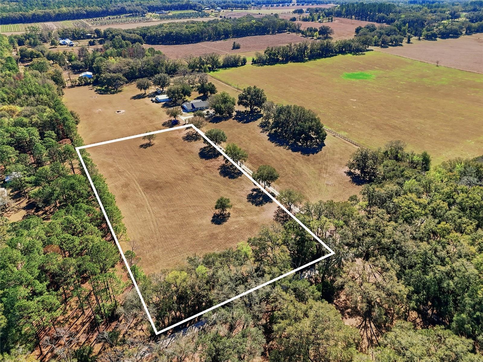 TBD NW 170TH ST, ALACHUA, FL, 32615