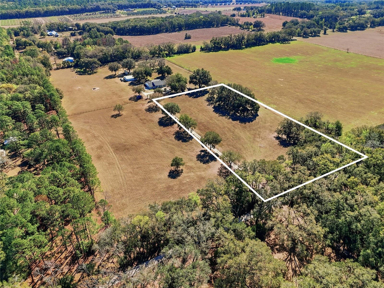 TBD NW 170TH ST, ALACHUA, FL, 32615