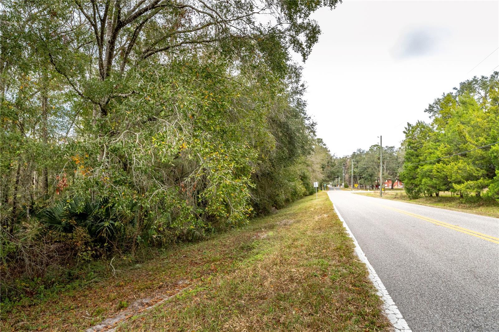 LAKE LINDSEY TRACT 2 RD, BROOKSVILLE, FL, 34601