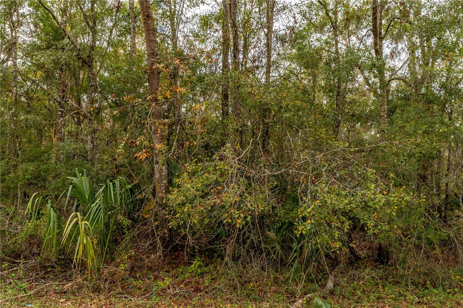 LAKE LINDSEY TRACT 2 RD, BROOKSVILLE, FL, 34601