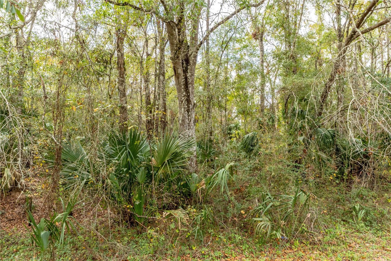 LAKE LINDSEY TRACT 2 RD, BROOKSVILLE, FL, 34601