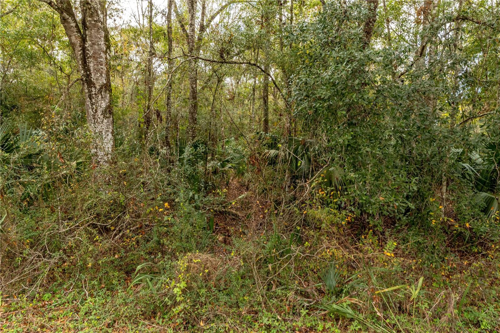 LAKE LINDSEY TRACT 2 RD, BROOKSVILLE, FL, 34601
