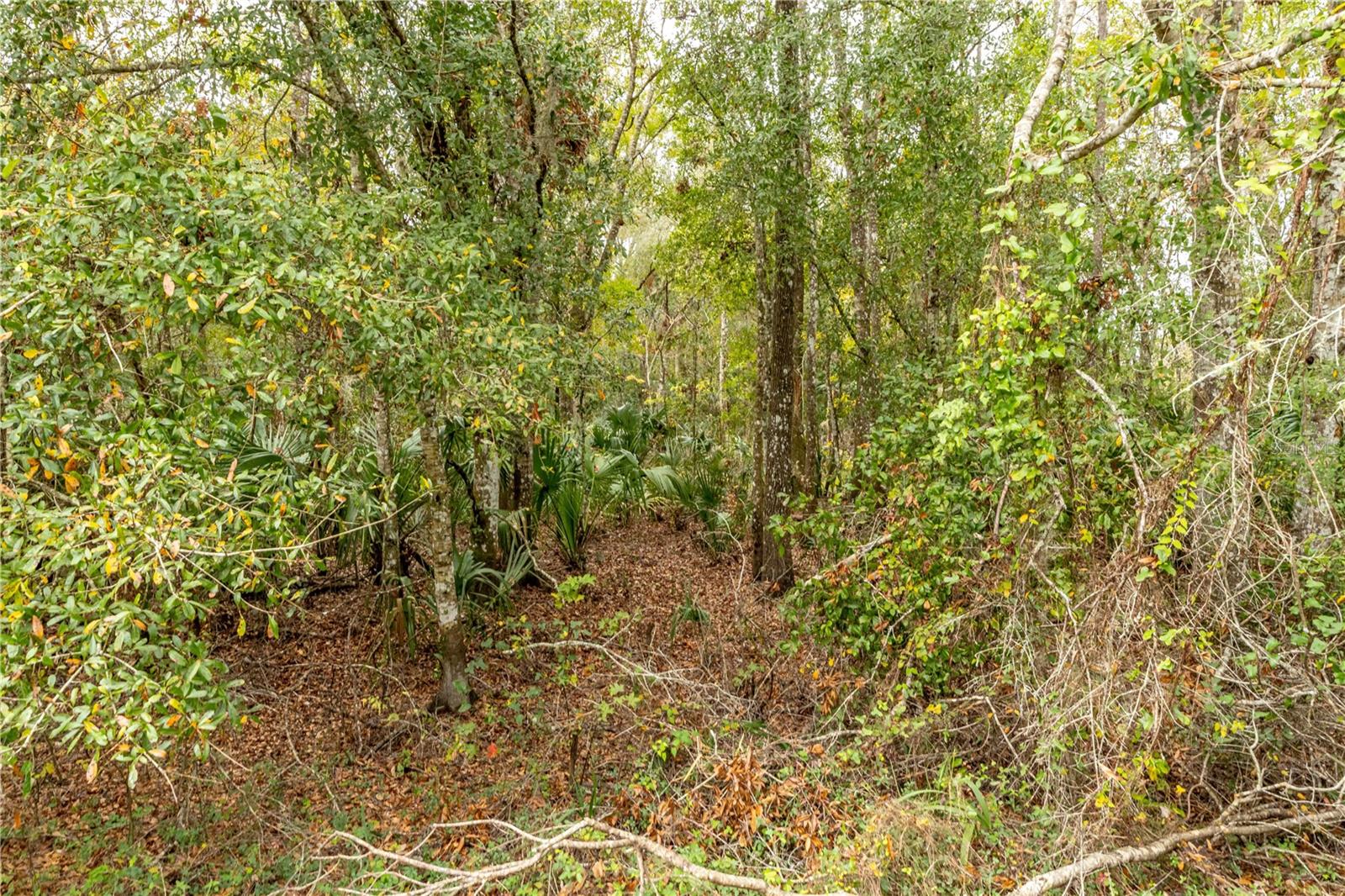 LAKE LINDSEY TRACT 2 RD, BROOKSVILLE, FL, 34601