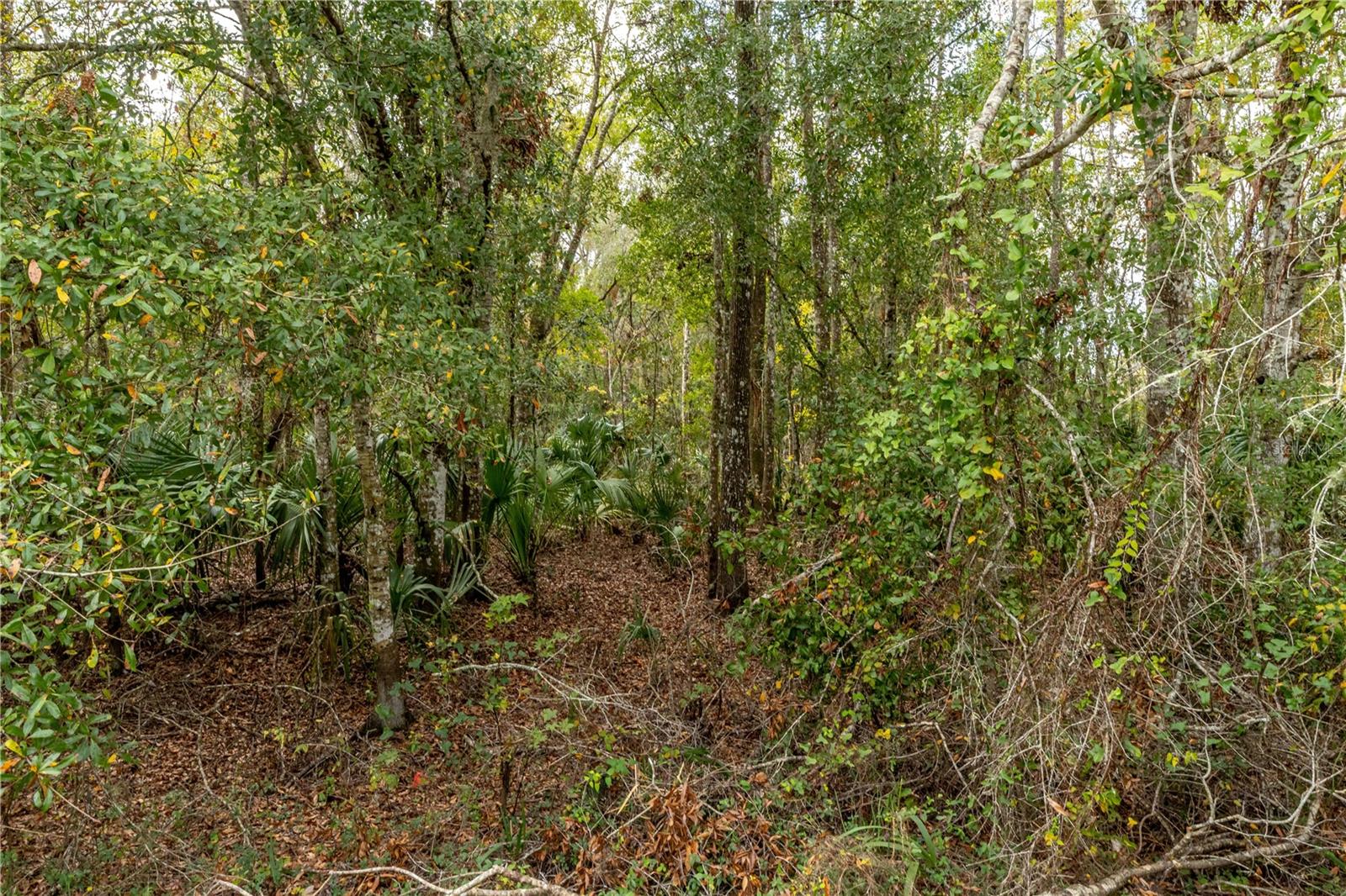 LAKE LINDSEY TRACT 2 RD, BROOKSVILLE, FL, 34601