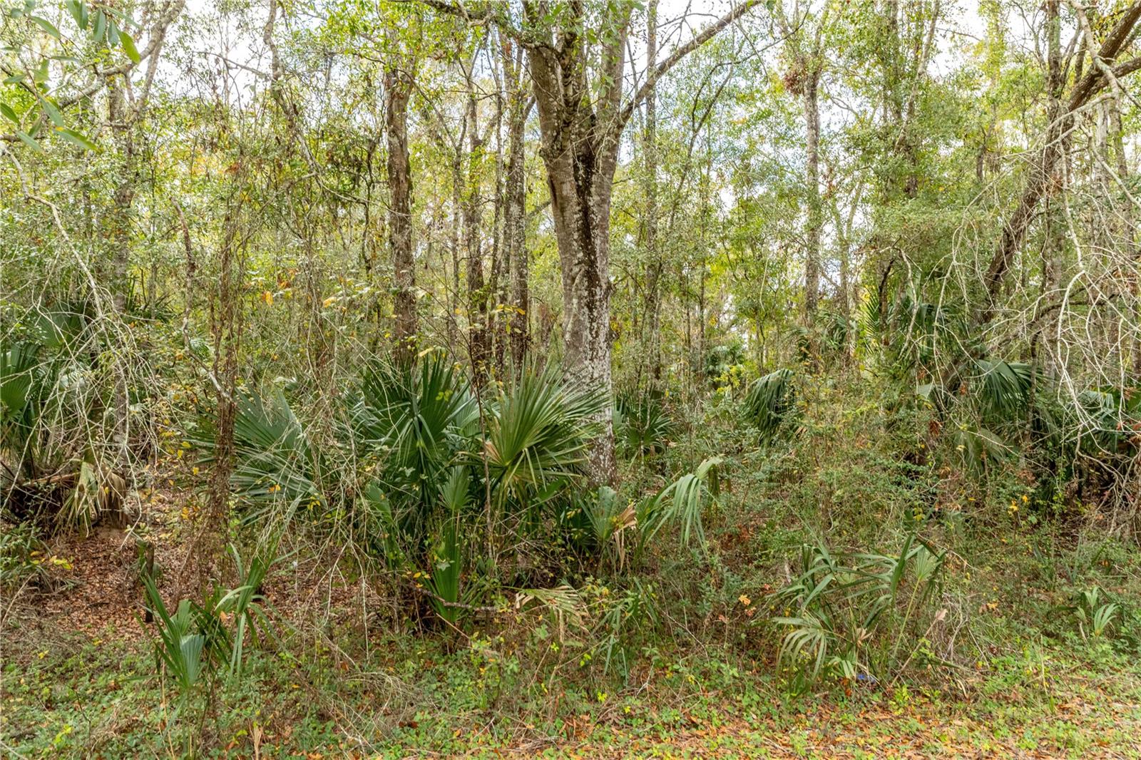 LAKE LINDSEY TRACT 2 RD, BROOKSVILLE, FL, 34601