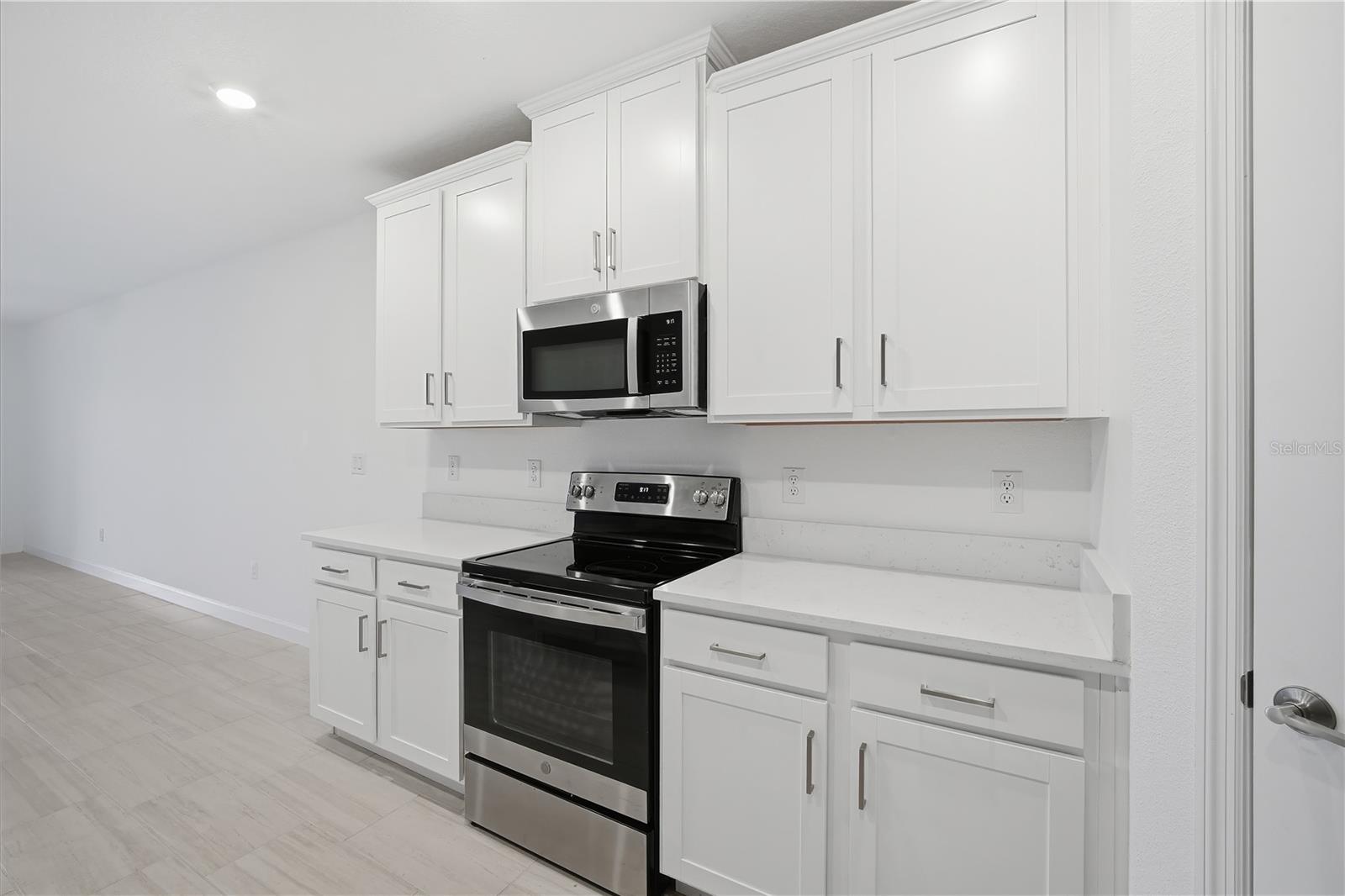 10976 GABLE DIG LOOP, SAN ANTONIO, FL, 33576