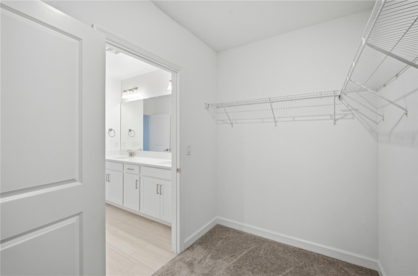 10976 GABLE DIG LOOP, SAN ANTONIO, FL, 33576