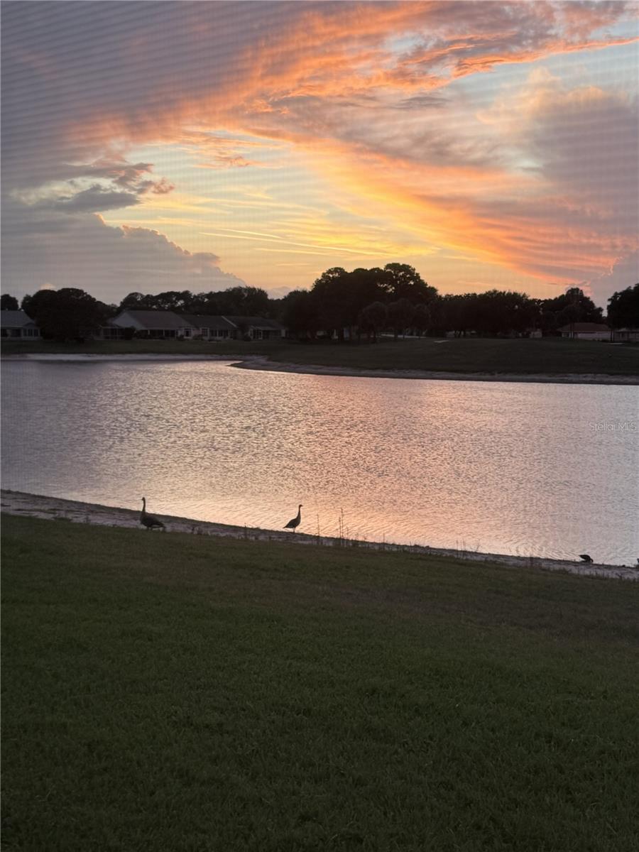 1307 PANAMA PL, THE VILLAGES, FL, 32159