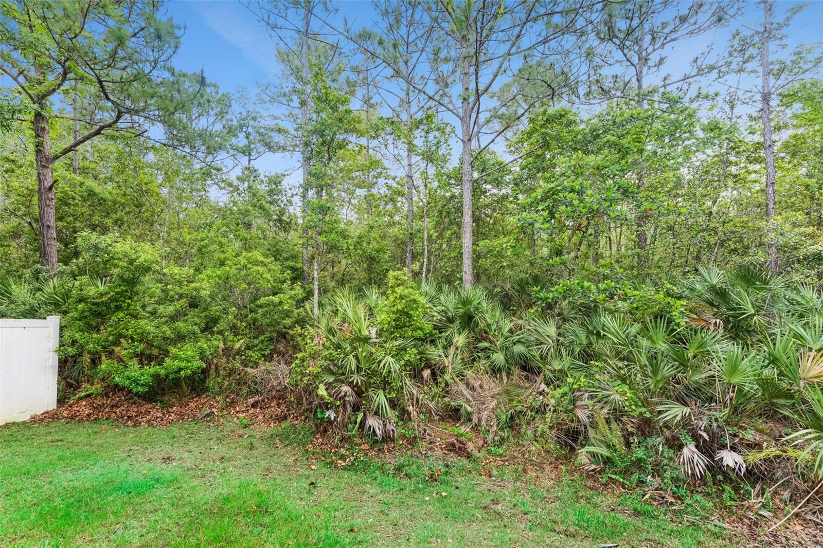 2319 CARNATION HILL CT, ORLANDO, FL, 32820