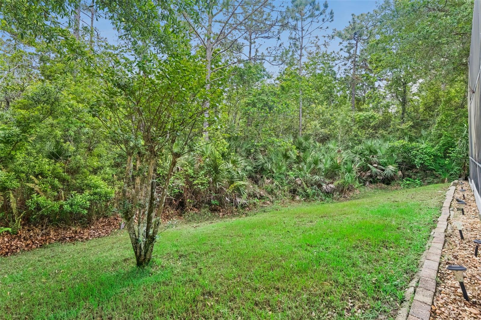 2319 CARNATION HILL CT, ORLANDO, FL, 32820