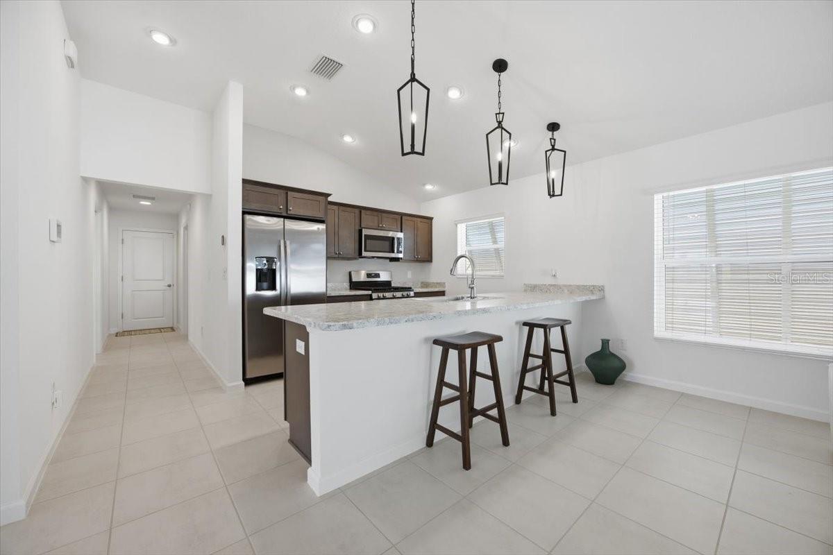 2940 GULLEY LN, THE VILLAGES, FL, 32163