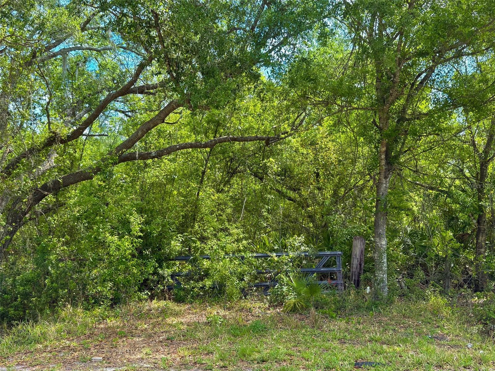 1210 NW EUCALYPTUS AVE, ARCADIA, FL, 34266