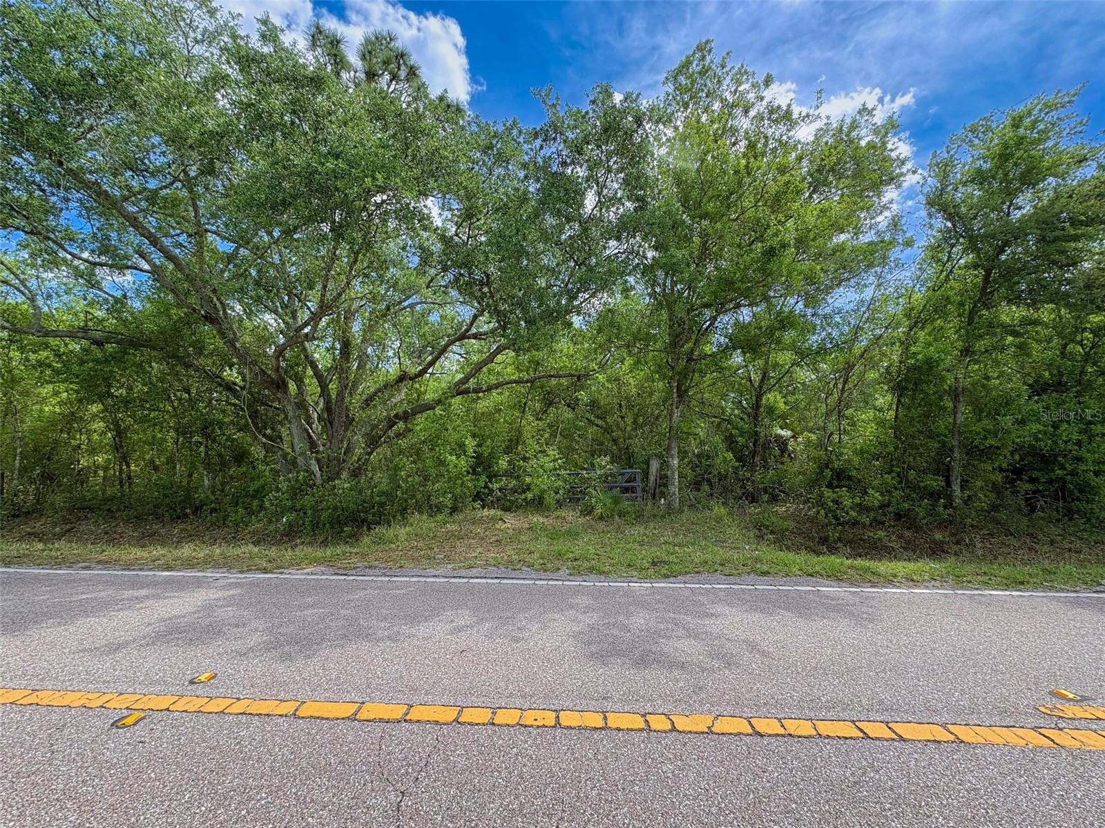 1210 NW EUCALYPTUS AVE, ARCADIA, FL, 34266
