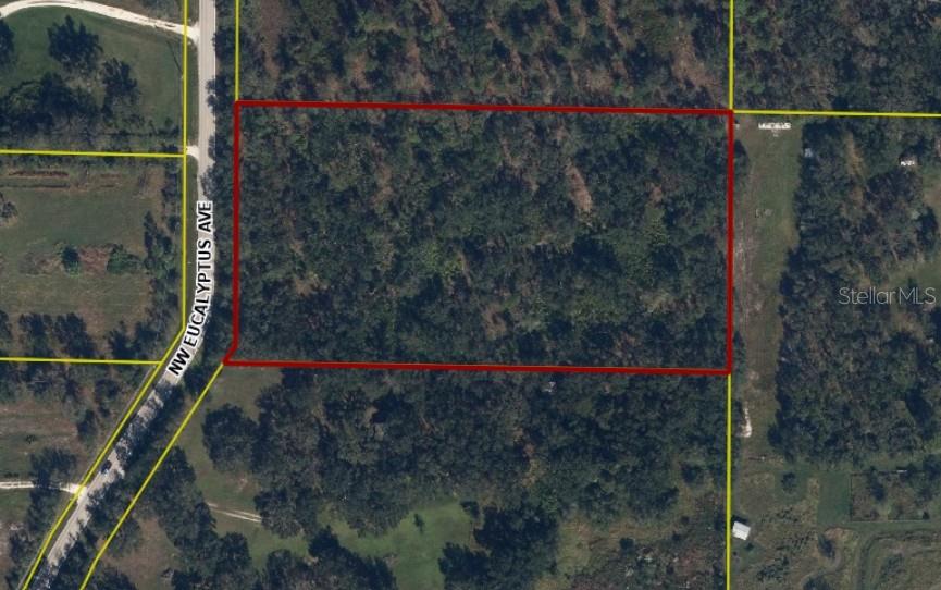 1210 NW EUCALYPTUS AVE, ARCADIA, FL, 34266