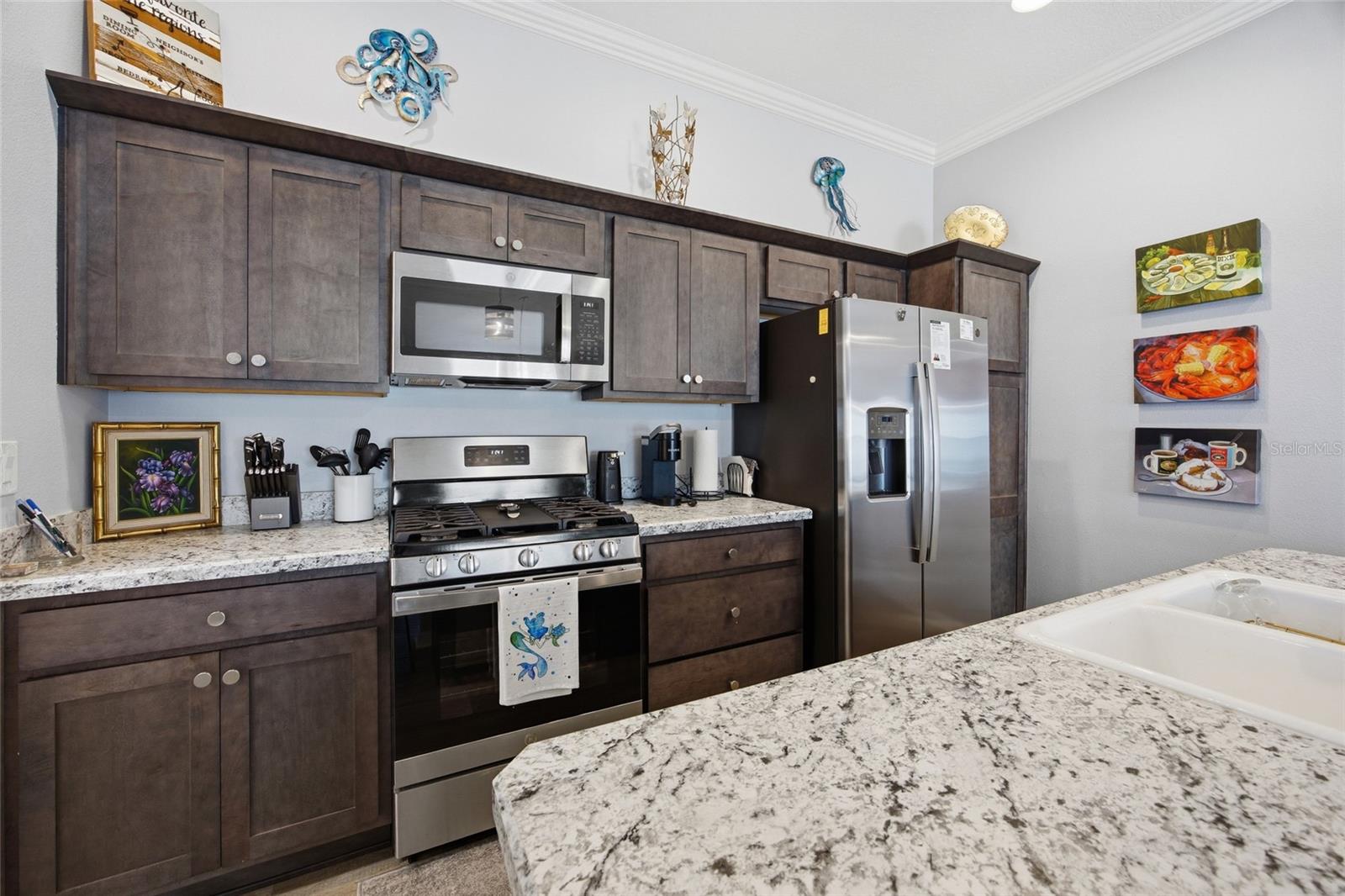 2910 MONUMENT WAY, THE VILLAGES, FL, 32163