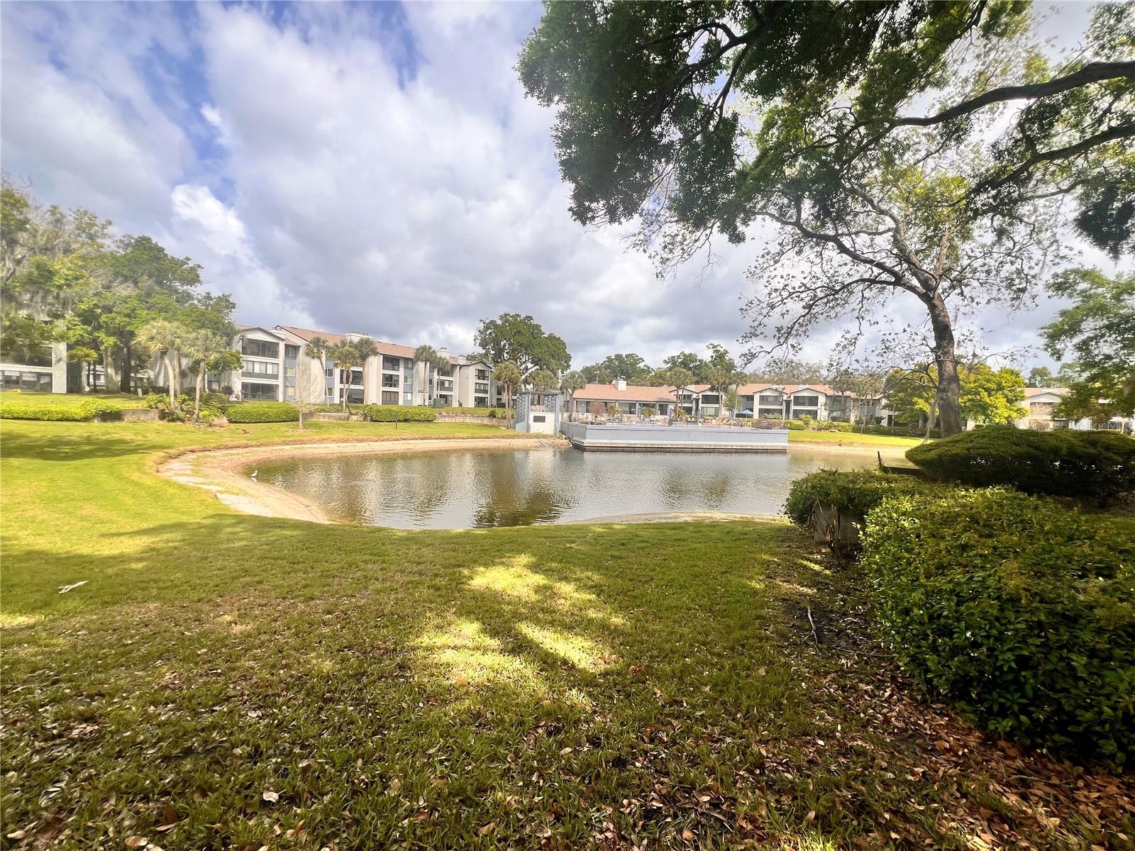 17 ESCONDIDO CIR #239, ALTAMONTE SPRINGS, FL, 32701