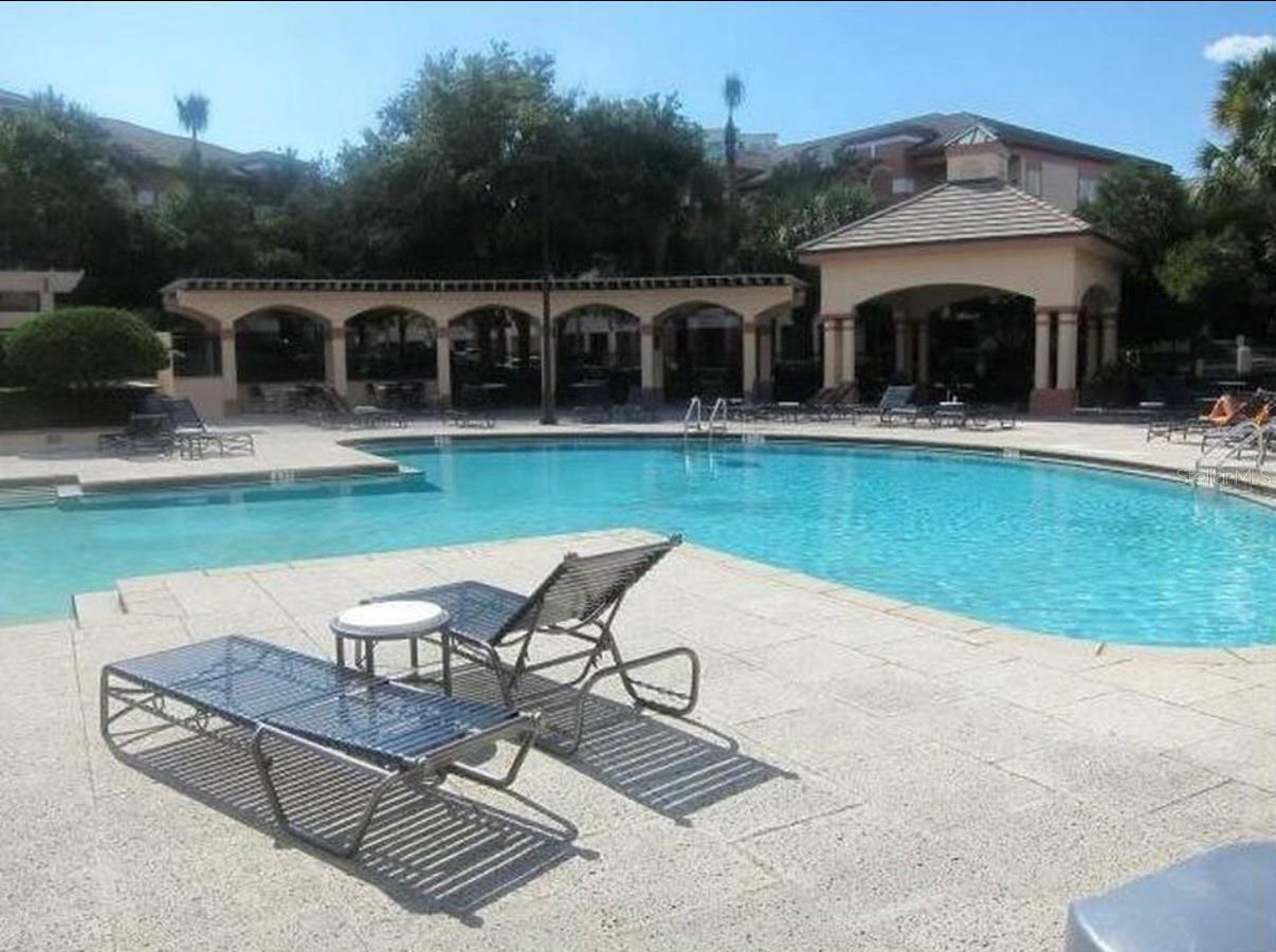 804 NORMANDY TRACE RD, TAMPA, FL, 33602