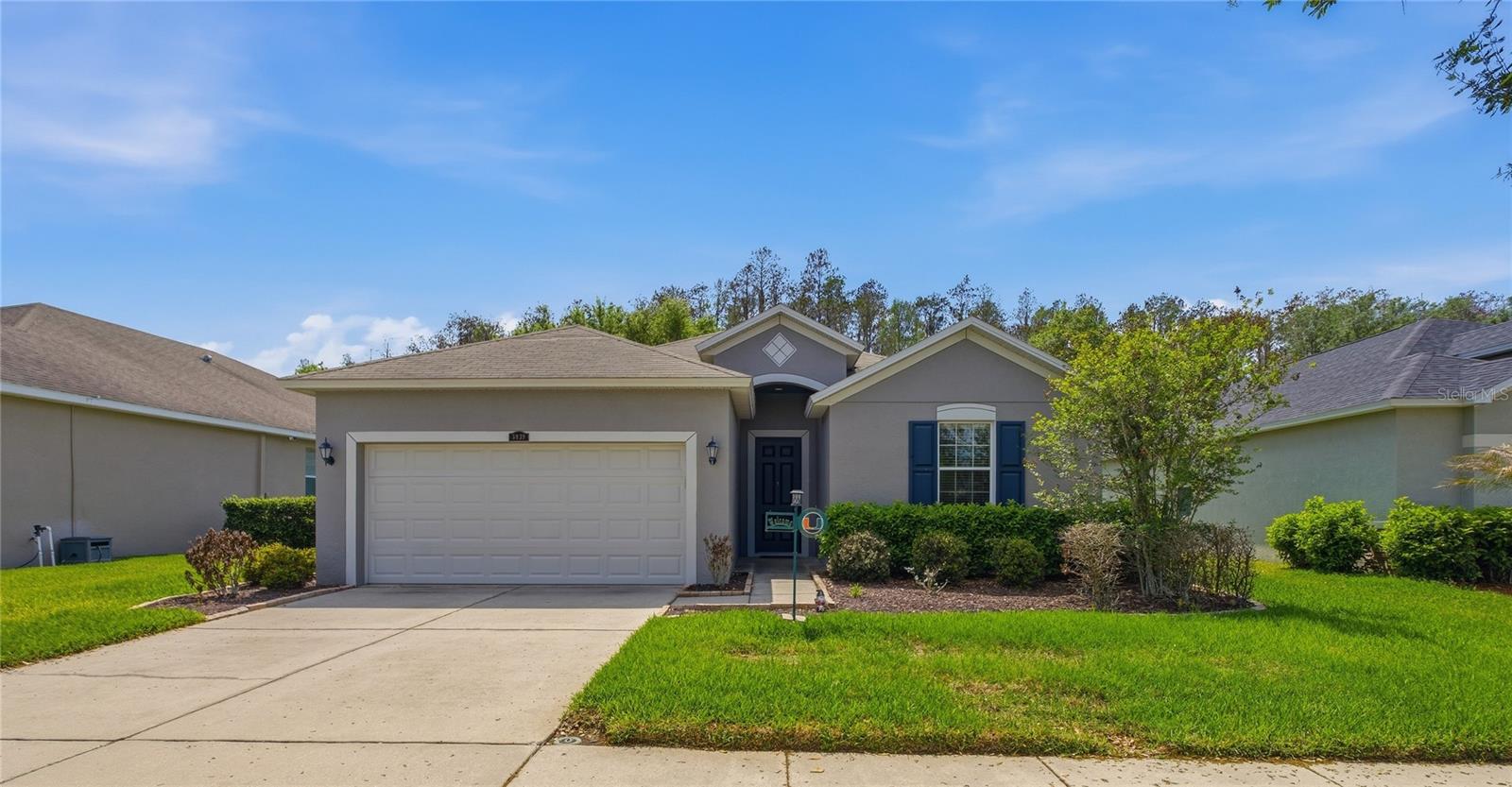 3839 GRECKO DR, WESLEY CHAPEL, FL, 33543