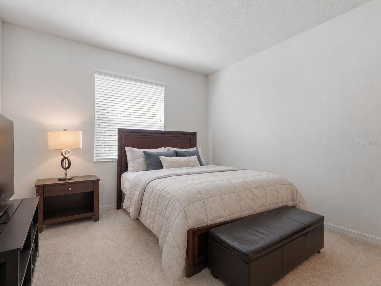 3839 GRECKO DR, WESLEY CHAPEL, FL, 33543