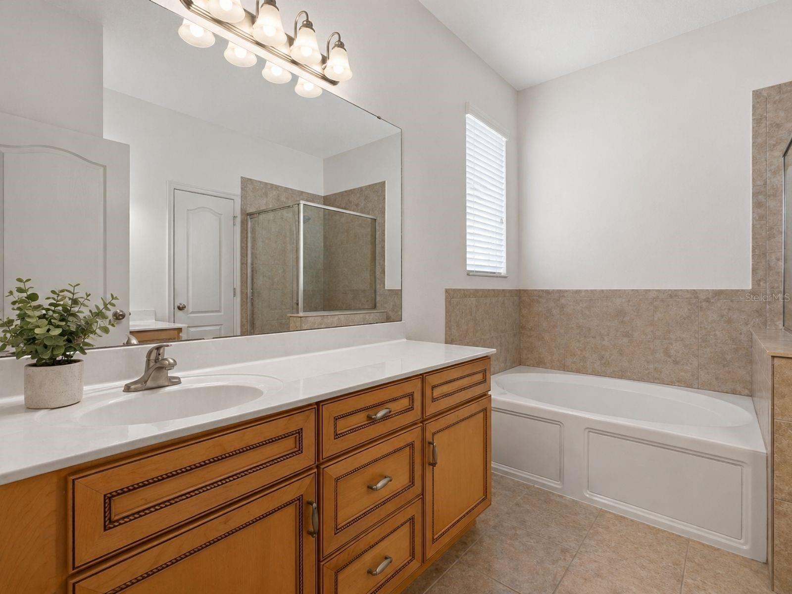 3839 GRECKO DR, WESLEY CHAPEL, FL, 33543
