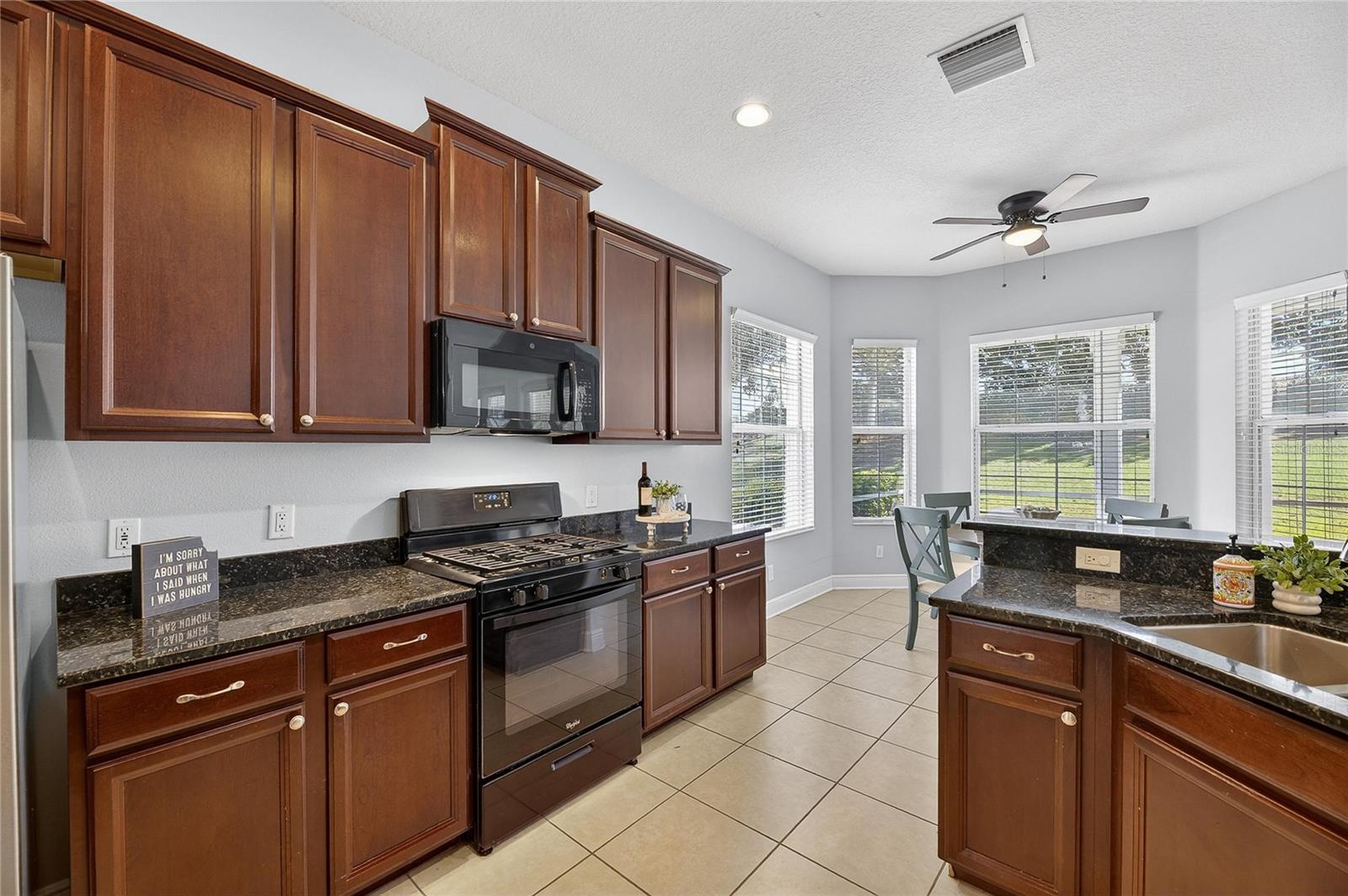 410 MANNS HARBOR DR, APOLLO BEACH, FL, 33572