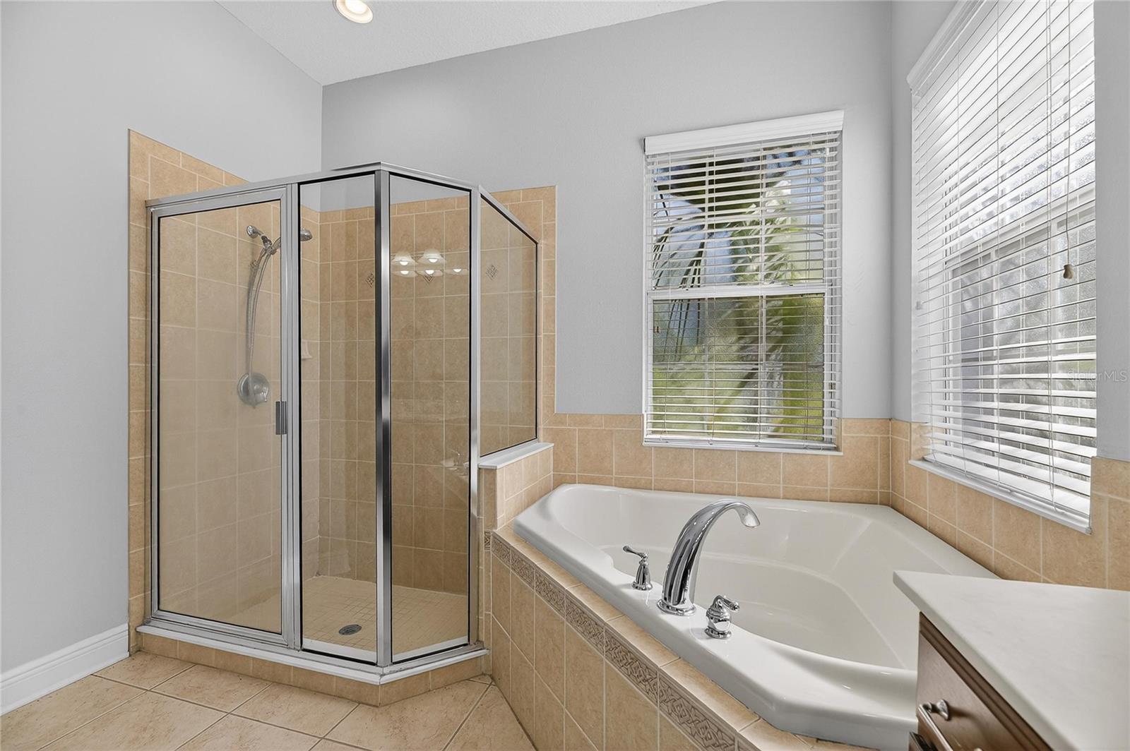 410 MANNS HARBOR DR, APOLLO BEACH, FL, 33572