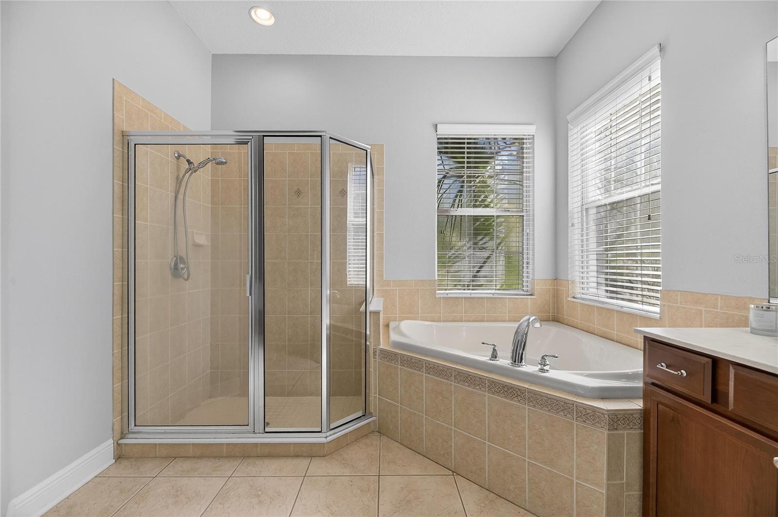 410 MANNS HARBOR DR, APOLLO BEACH, FL, 33572