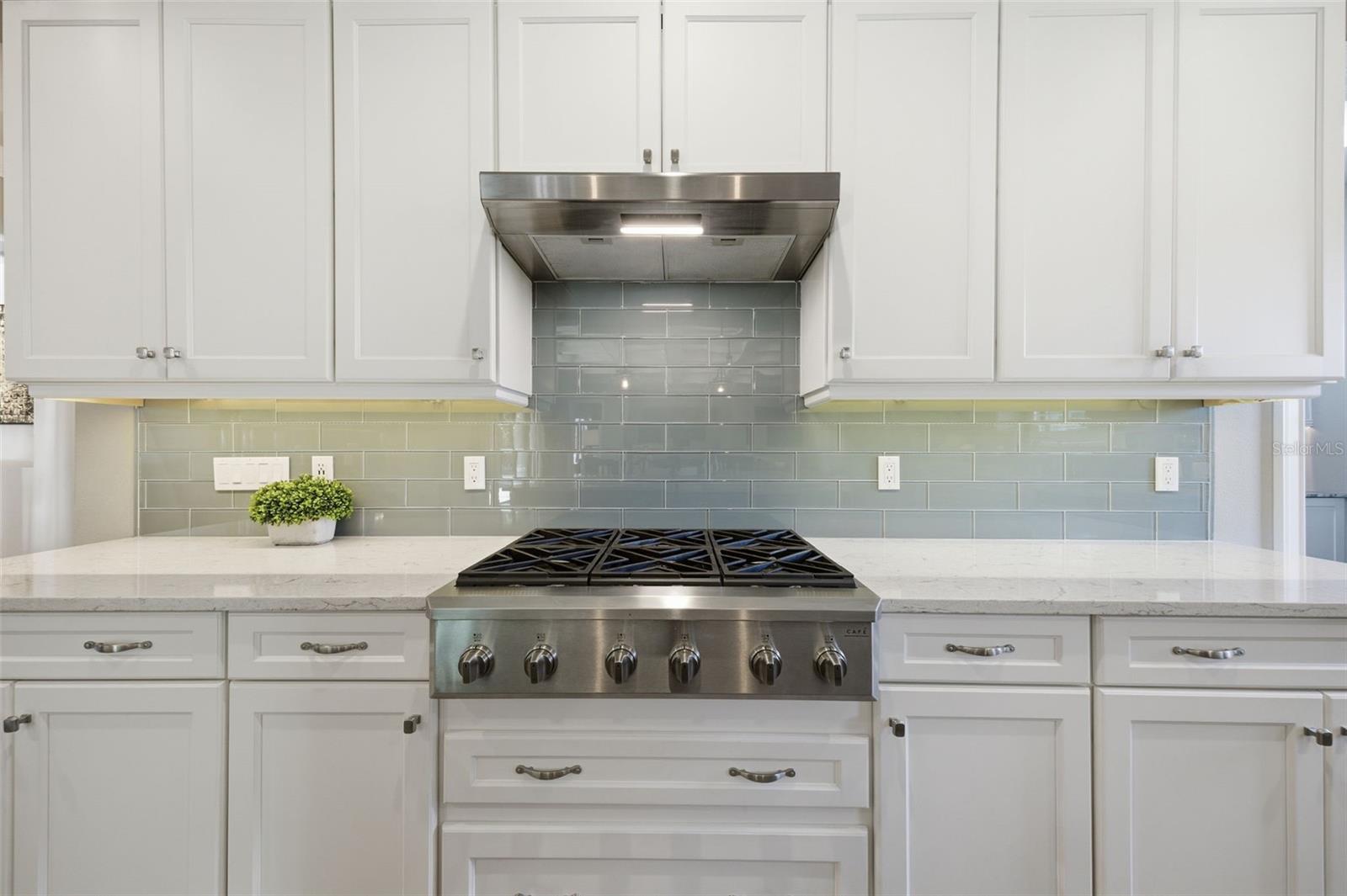 19118 MAGNOLIA FARMS LN, ODESSA, FL, 33556