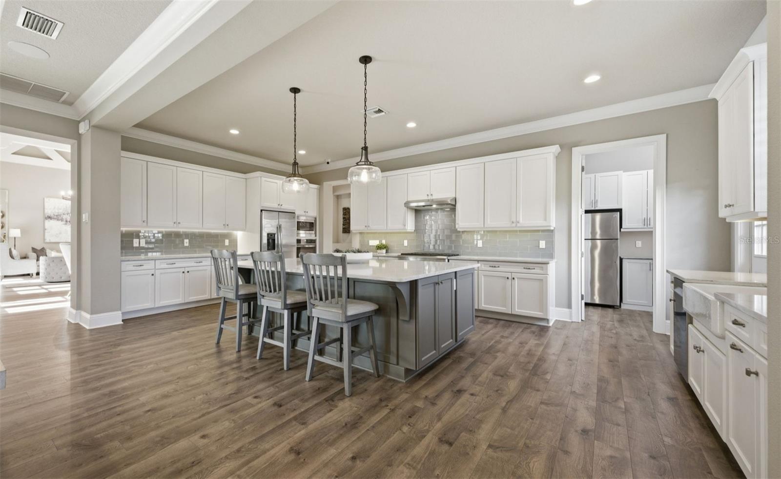 19118 MAGNOLIA FARMS LN, ODESSA, FL, 33556