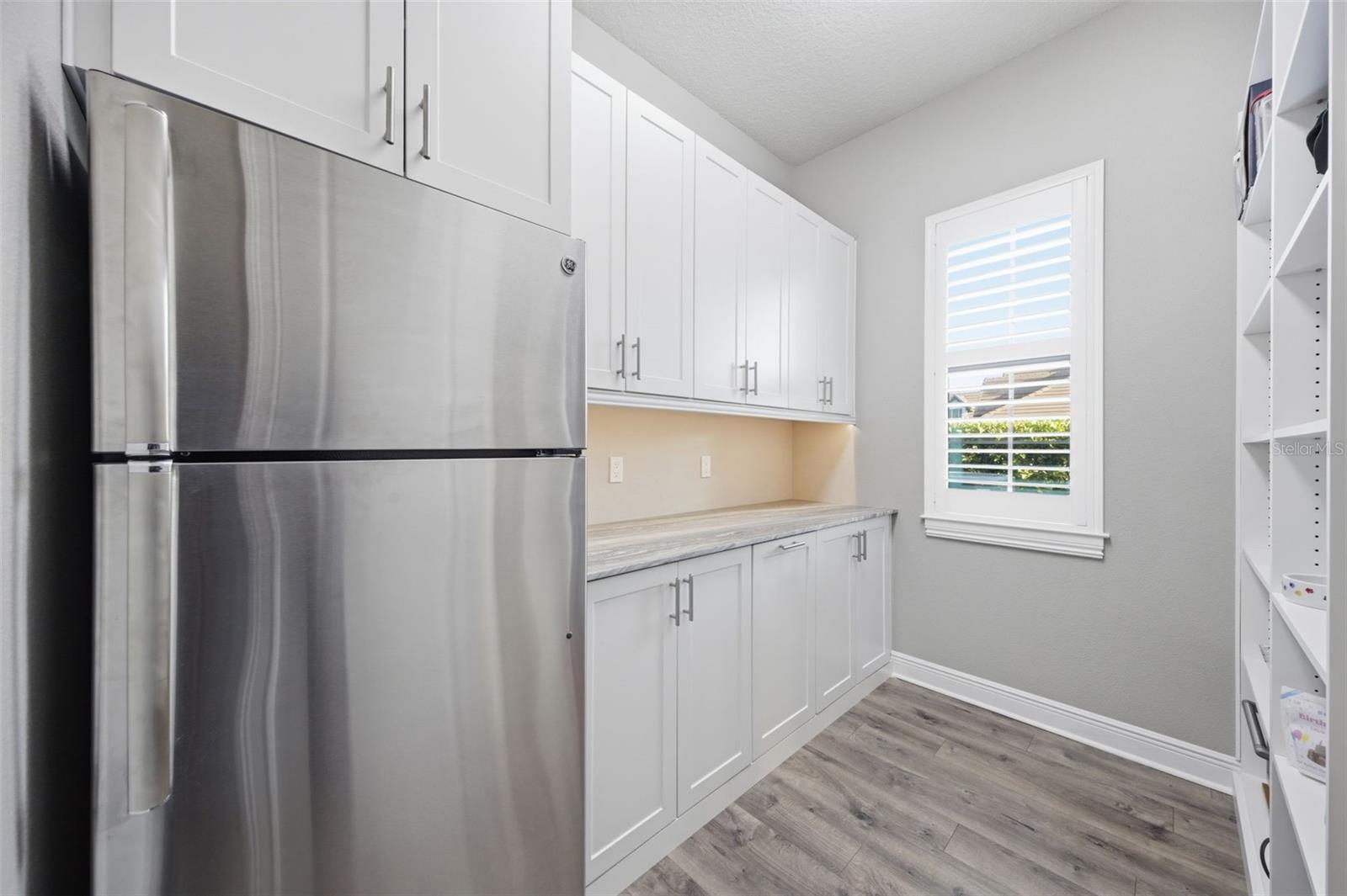 19118 MAGNOLIA FARMS LN, ODESSA, FL, 33556