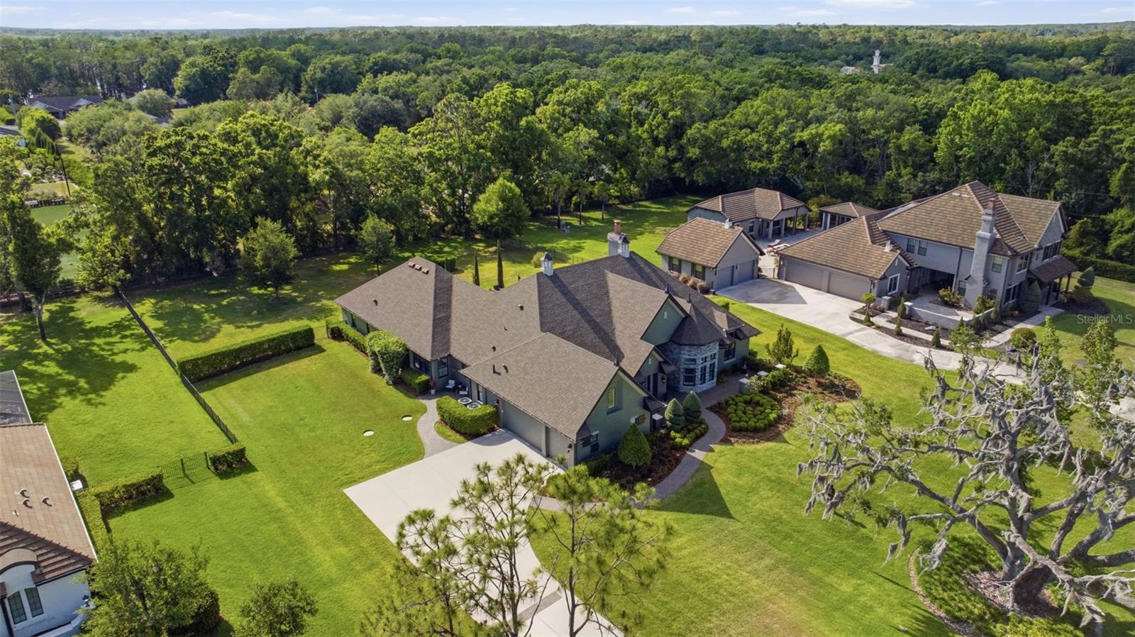 19118 MAGNOLIA FARMS LN, ODESSA, FL, 33556