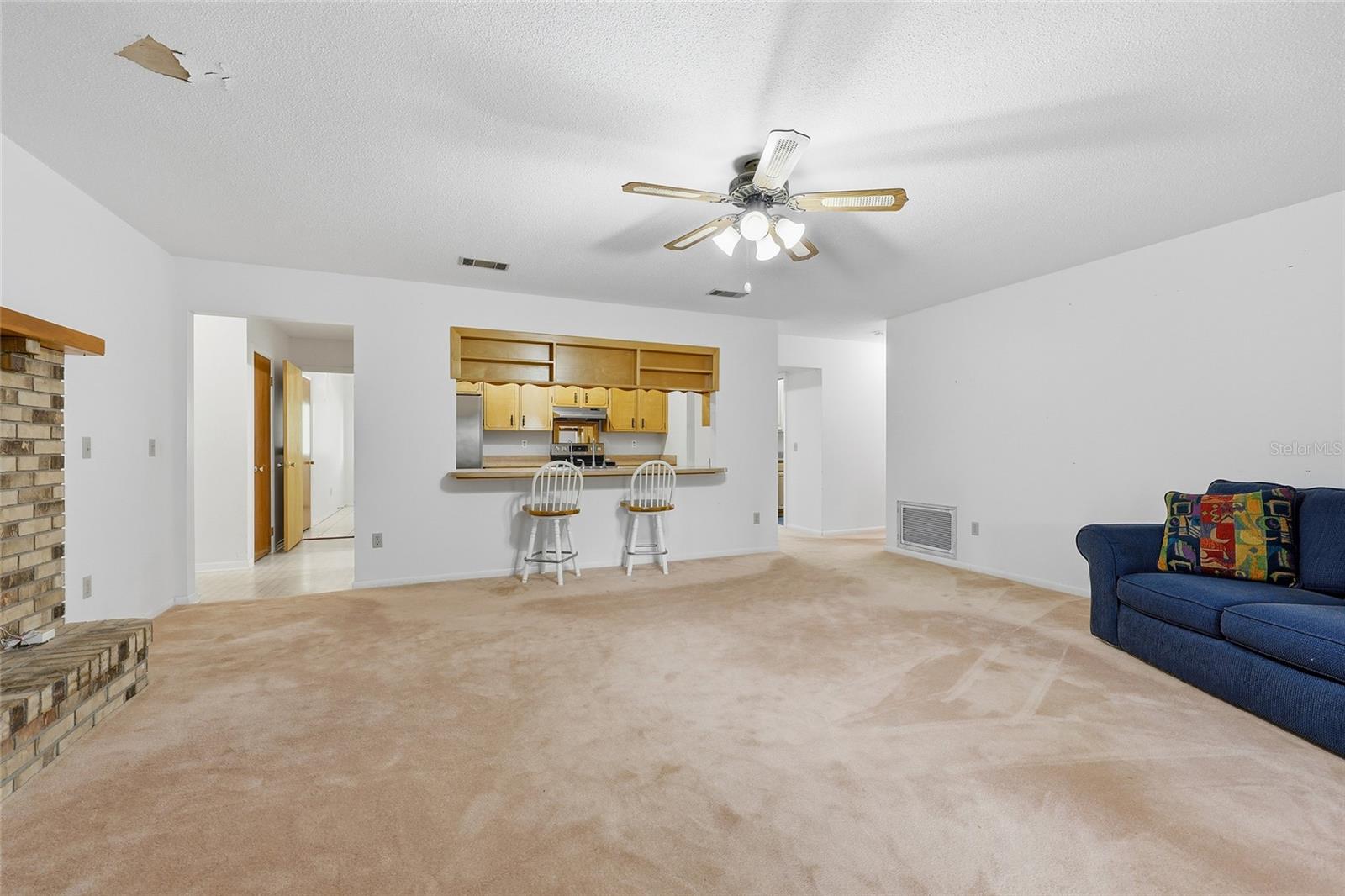 295 SW BLUEBERRY PL, LAKE CITY, FL, 32024