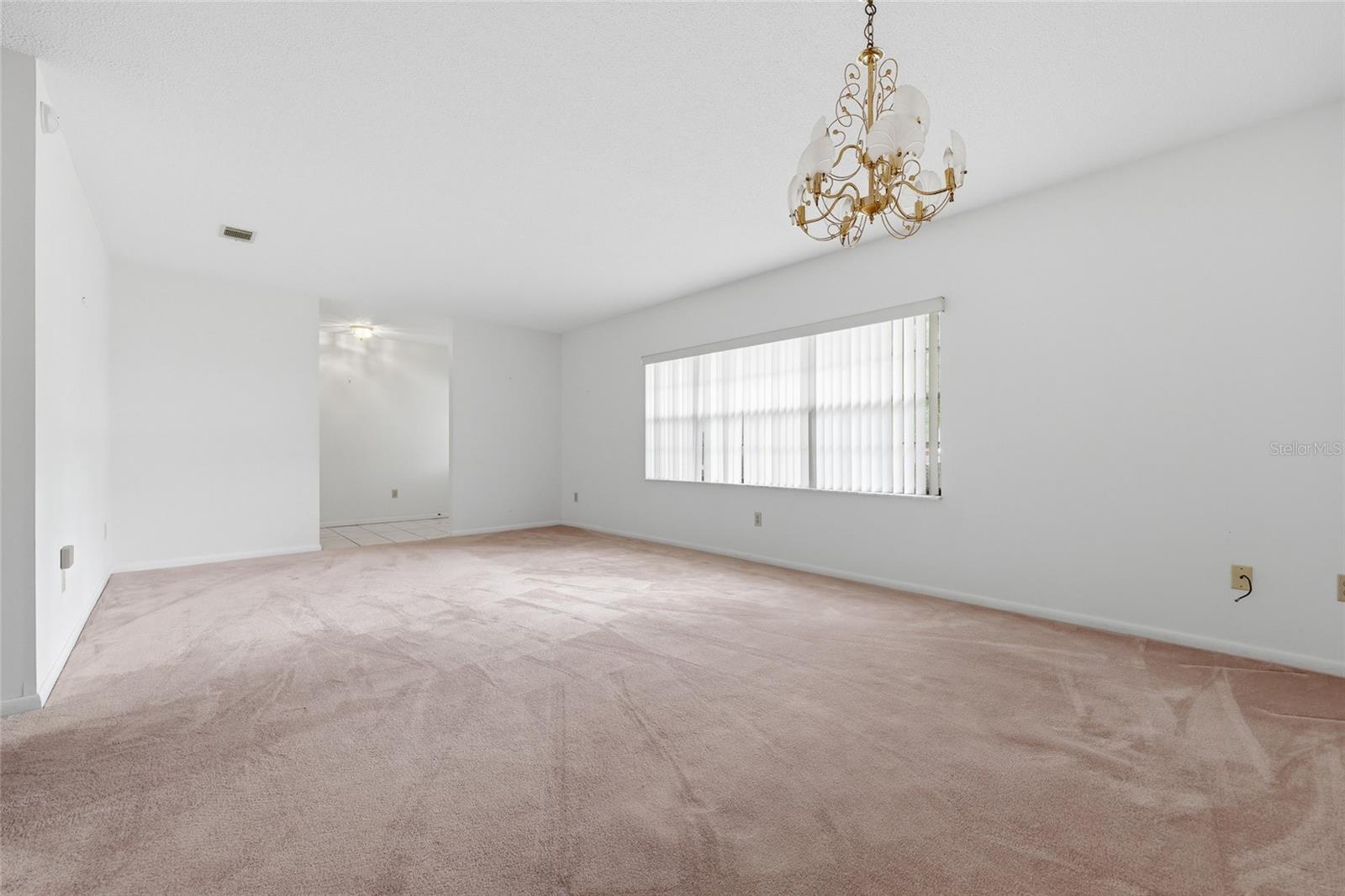 295 SW BLUEBERRY PL, LAKE CITY, FL, 32024