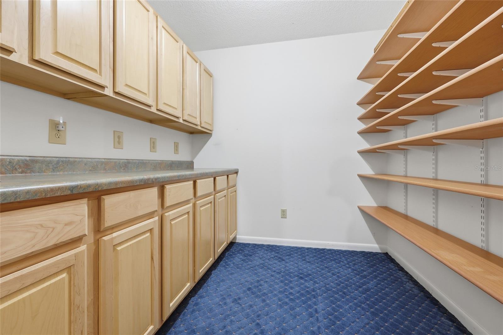 295 SW BLUEBERRY PL, LAKE CITY, FL, 32024