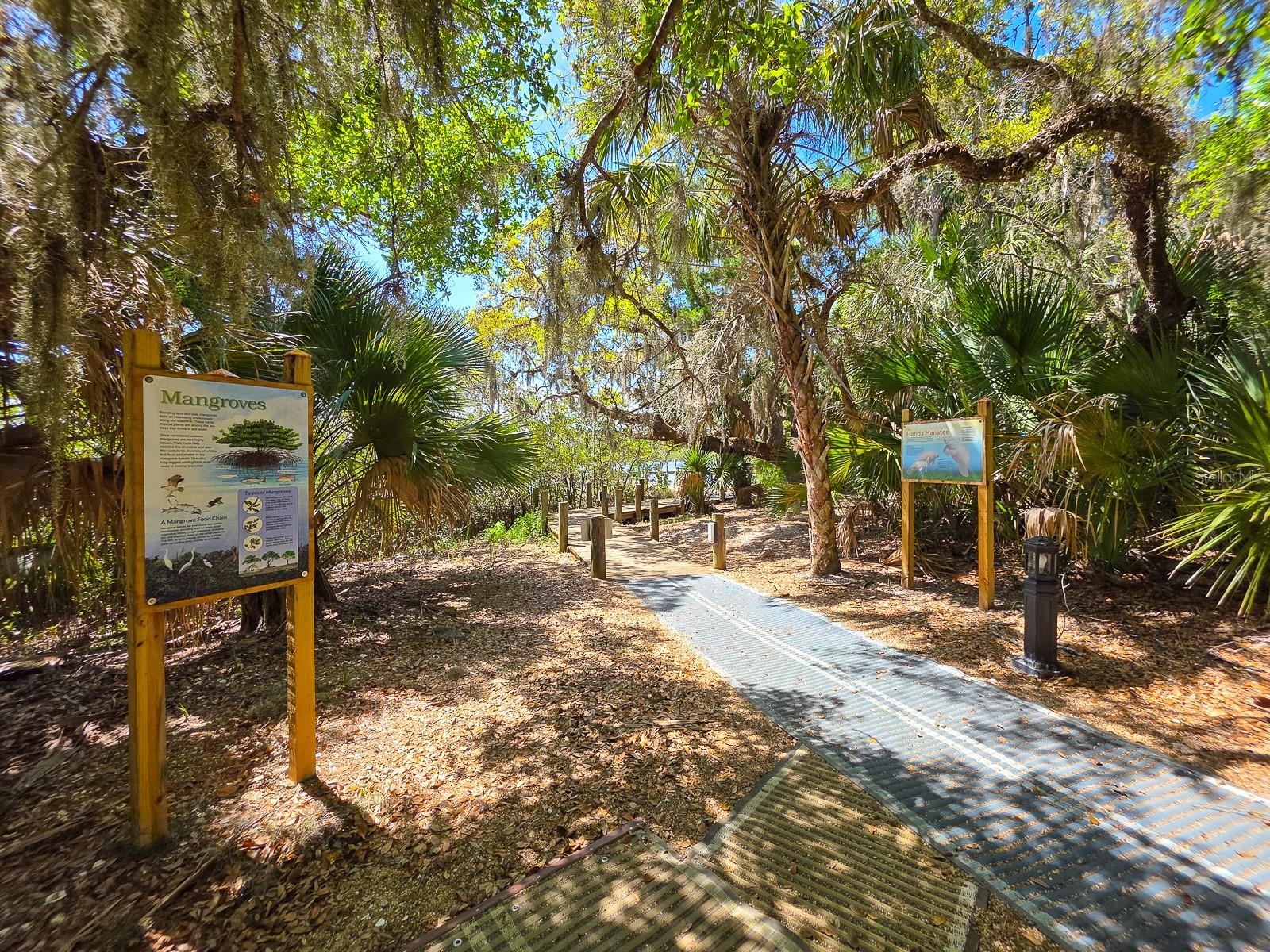 60 SURFVIEW DR #209, PALM COAST, FL, 32137
