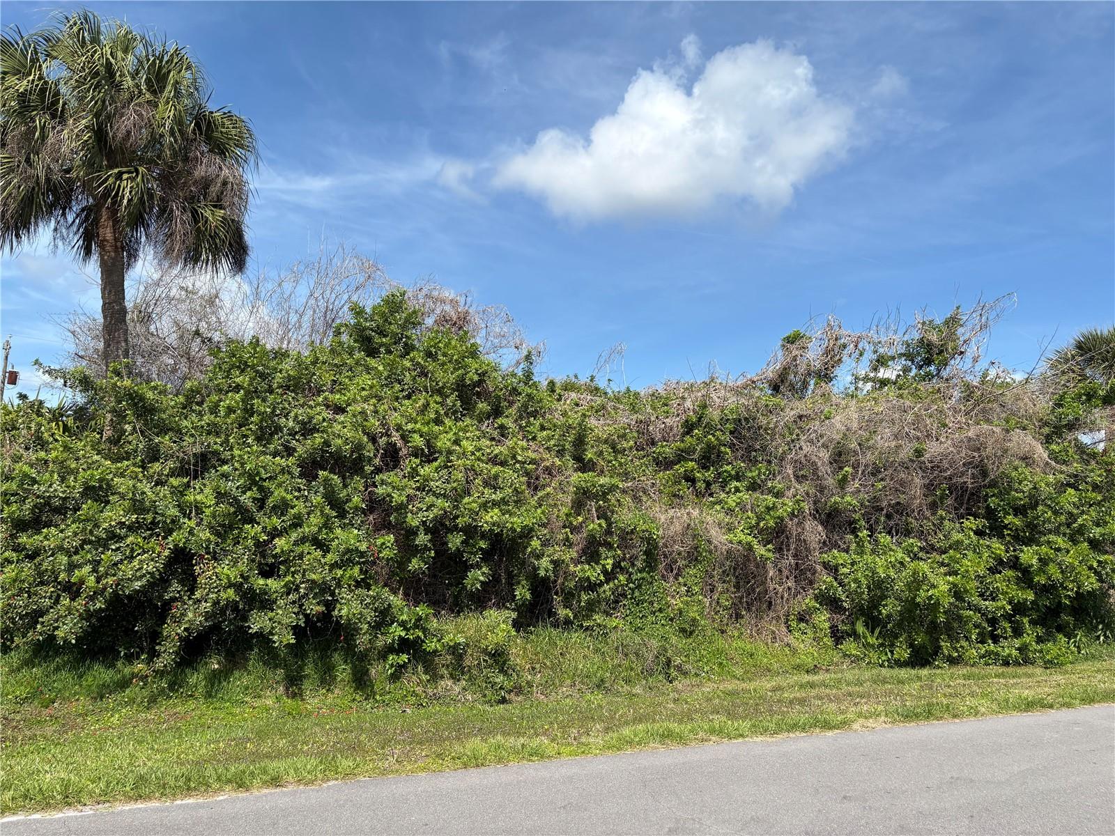 6159 AVILA ST, ENGLEWOOD, FL, 34224