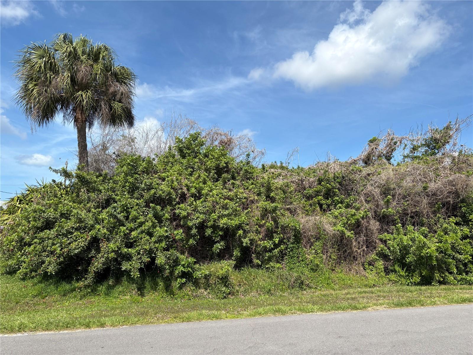 6159 AVILA ST, ENGLEWOOD, FL, 34224