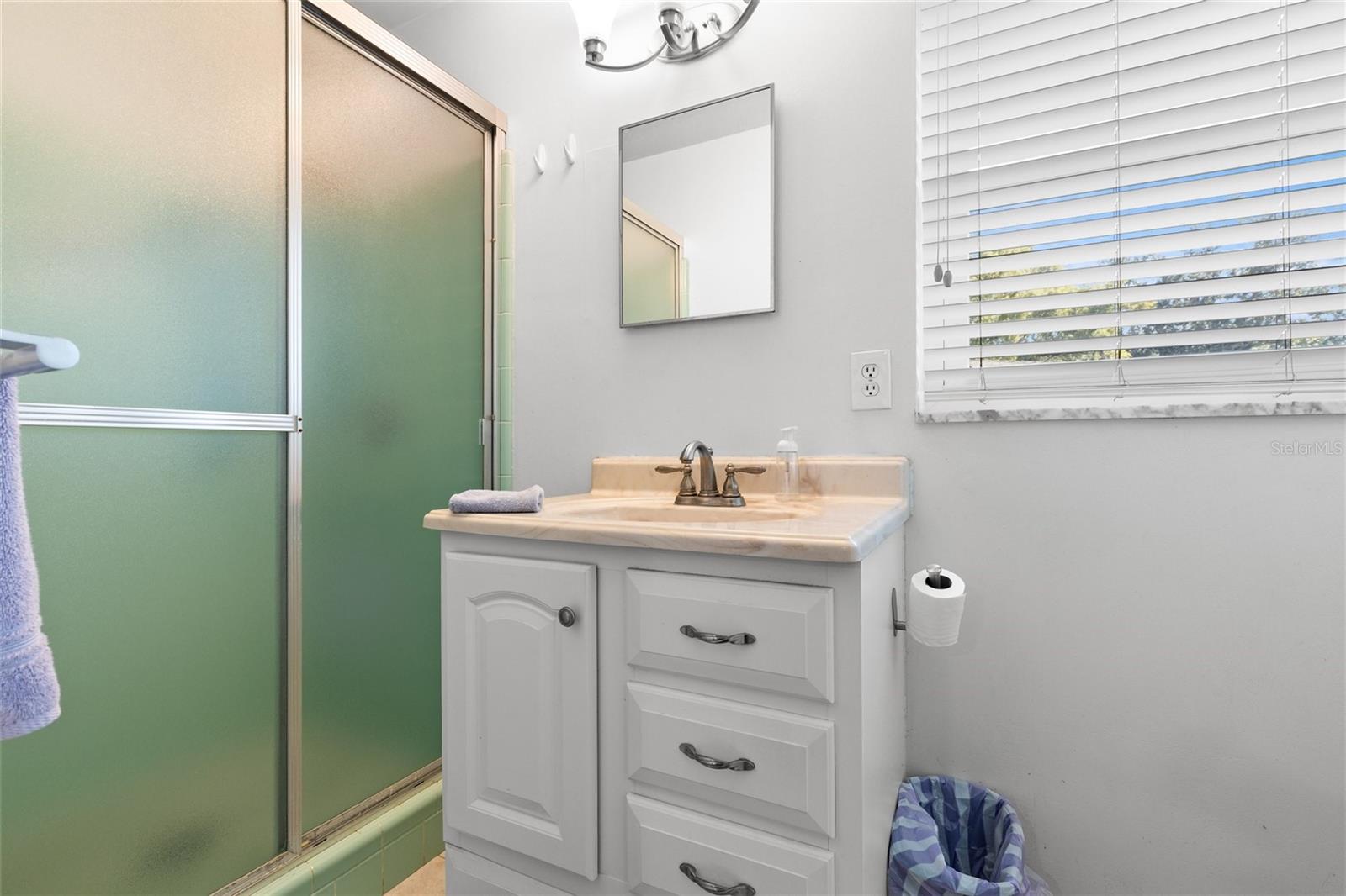 1365 WINDSOR DR, CLEARWATER, FL, 33756