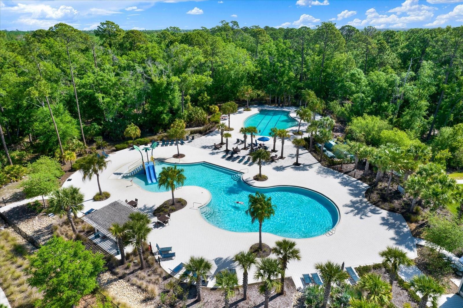 16930 STORYLINE DR, LAND O LAKES, FL, 34638