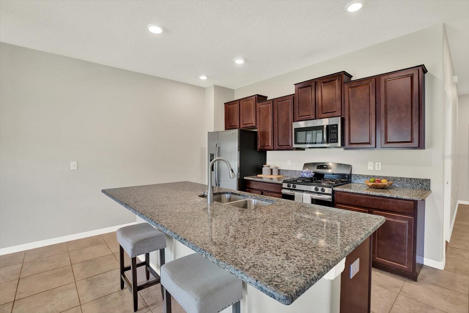 16930 STORYLINE DR, LAND O LAKES, FL, 34638