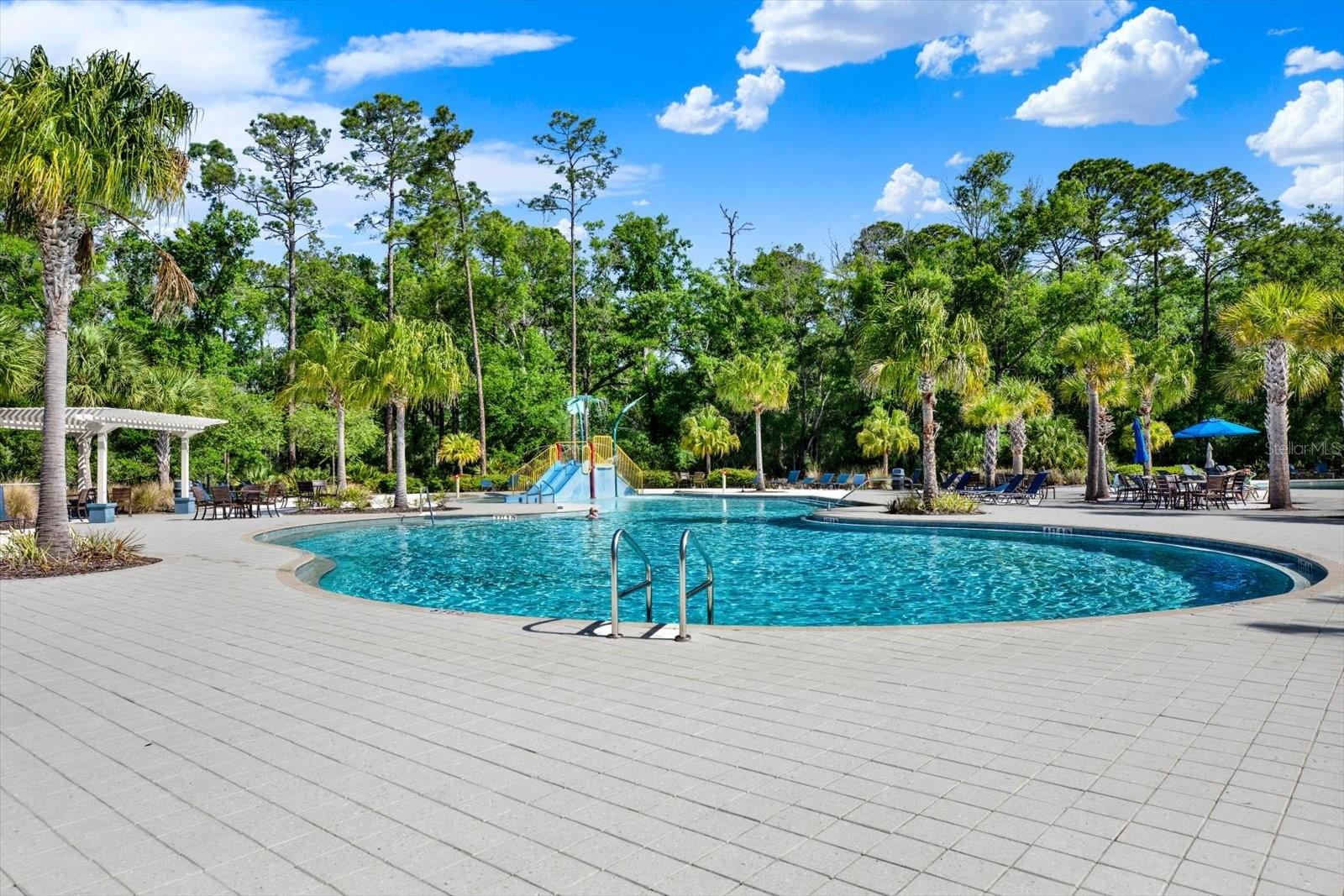 16930 STORYLINE DR, LAND O LAKES, FL, 34638