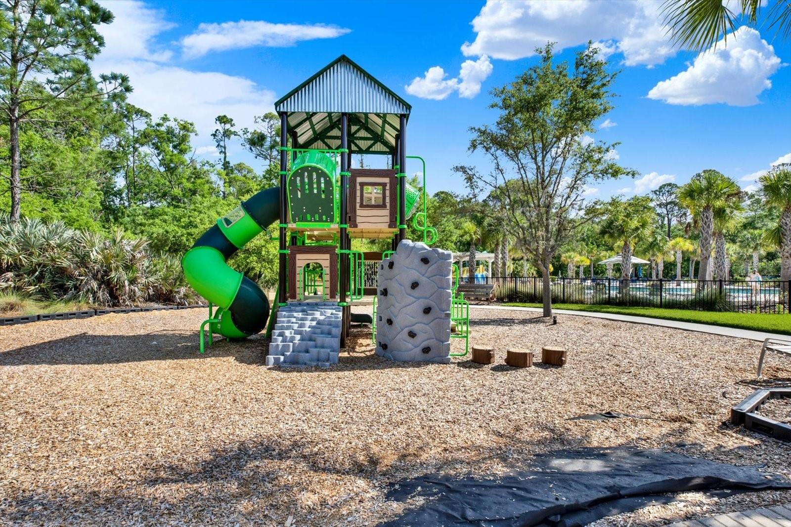 16930 STORYLINE DR, LAND O LAKES, FL, 34638