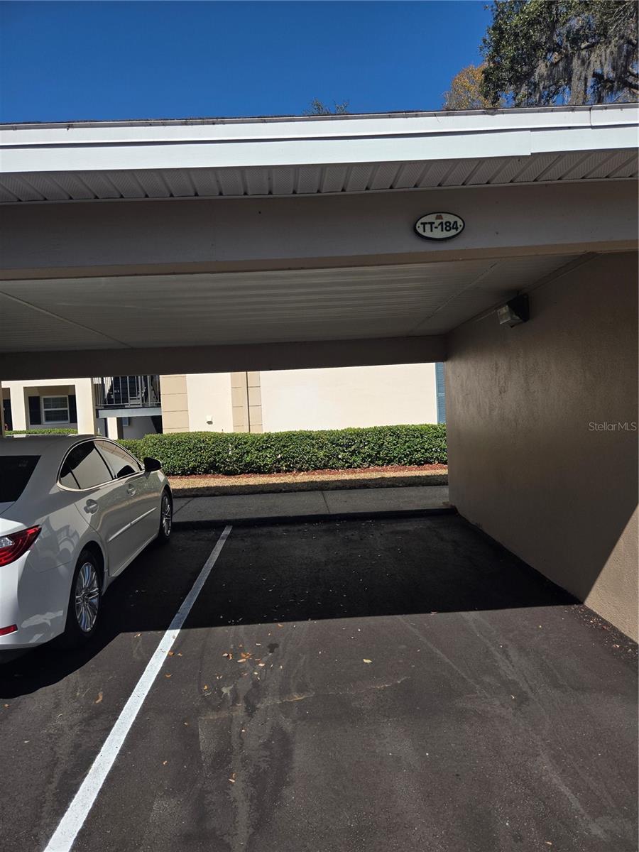 10350 CARROLLWOOD LN #188, TAMPA, FL, 33618