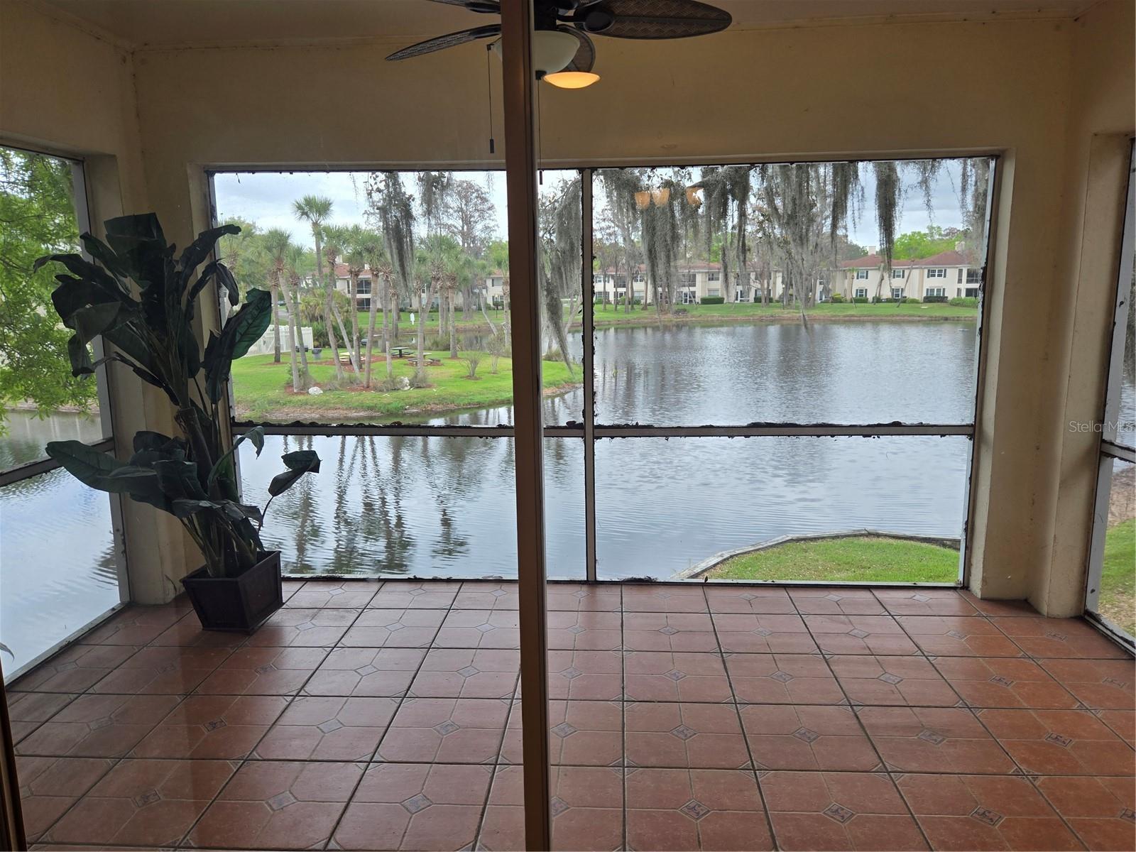 10350 CARROLLWOOD LN #188, TAMPA, FL, 33618