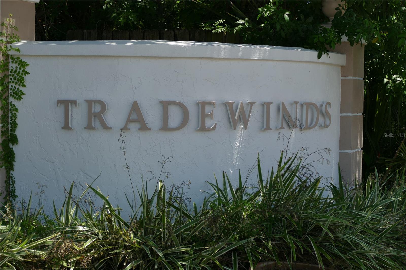 205 S MCMULLEN BOOTH RD #203, CLEARWATER, FL, 33759