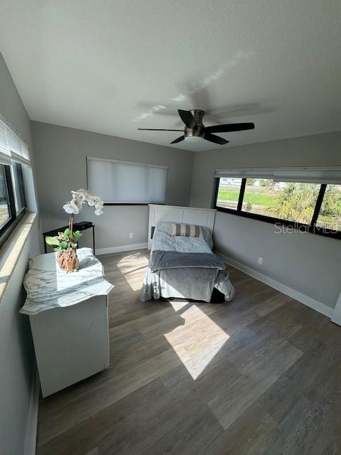 3636 MINEOLA DR, SARASOTA, FL, 34239