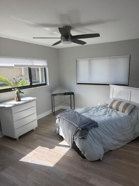 3636 MINEOLA DR, SARASOTA, FL, 34239