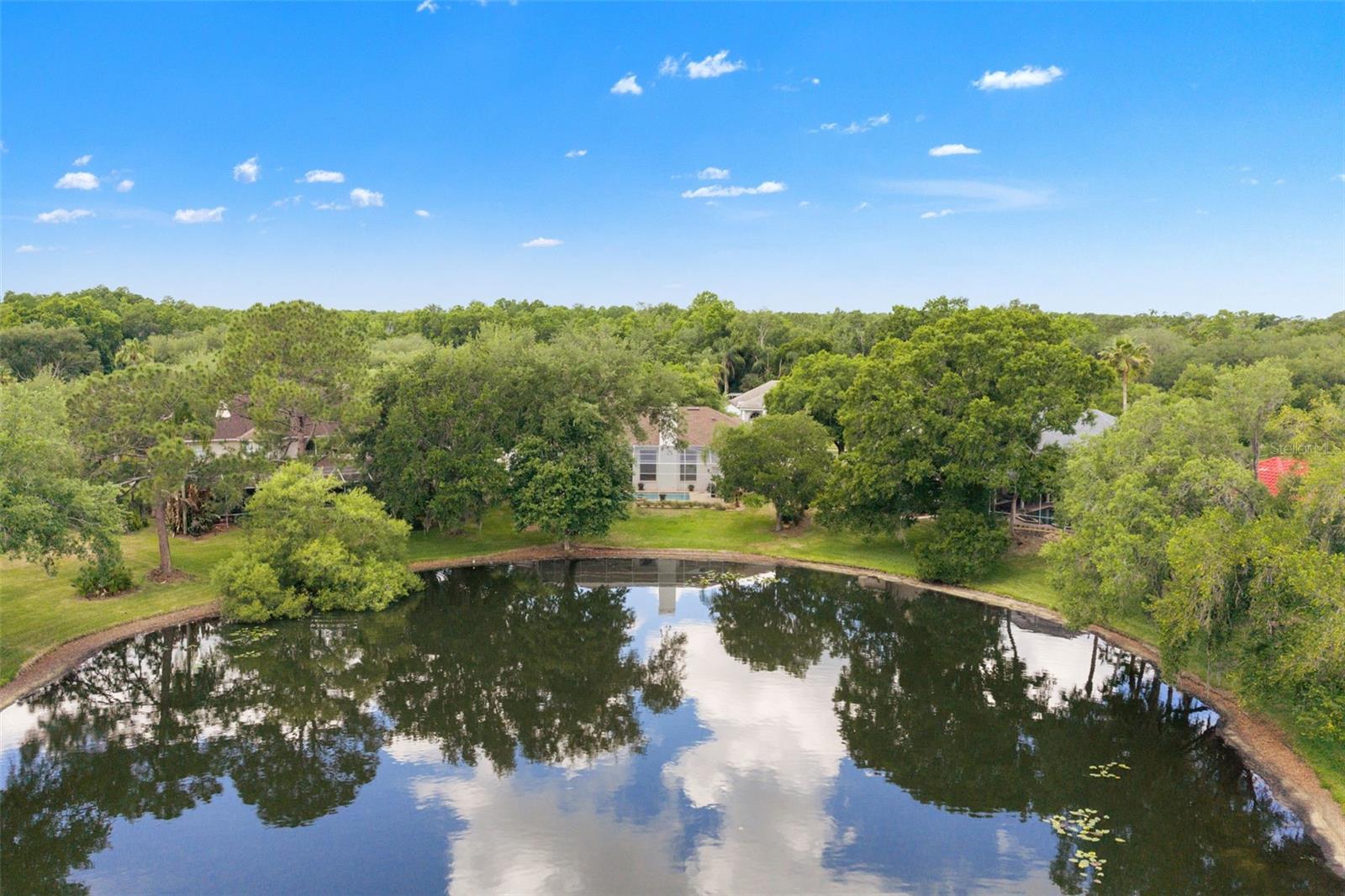 5021 WESLEY DR, TAMPA, FL, 33647