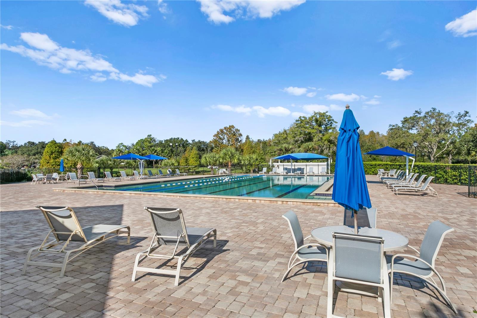 5021 WESLEY DR, TAMPA, FL, 33647